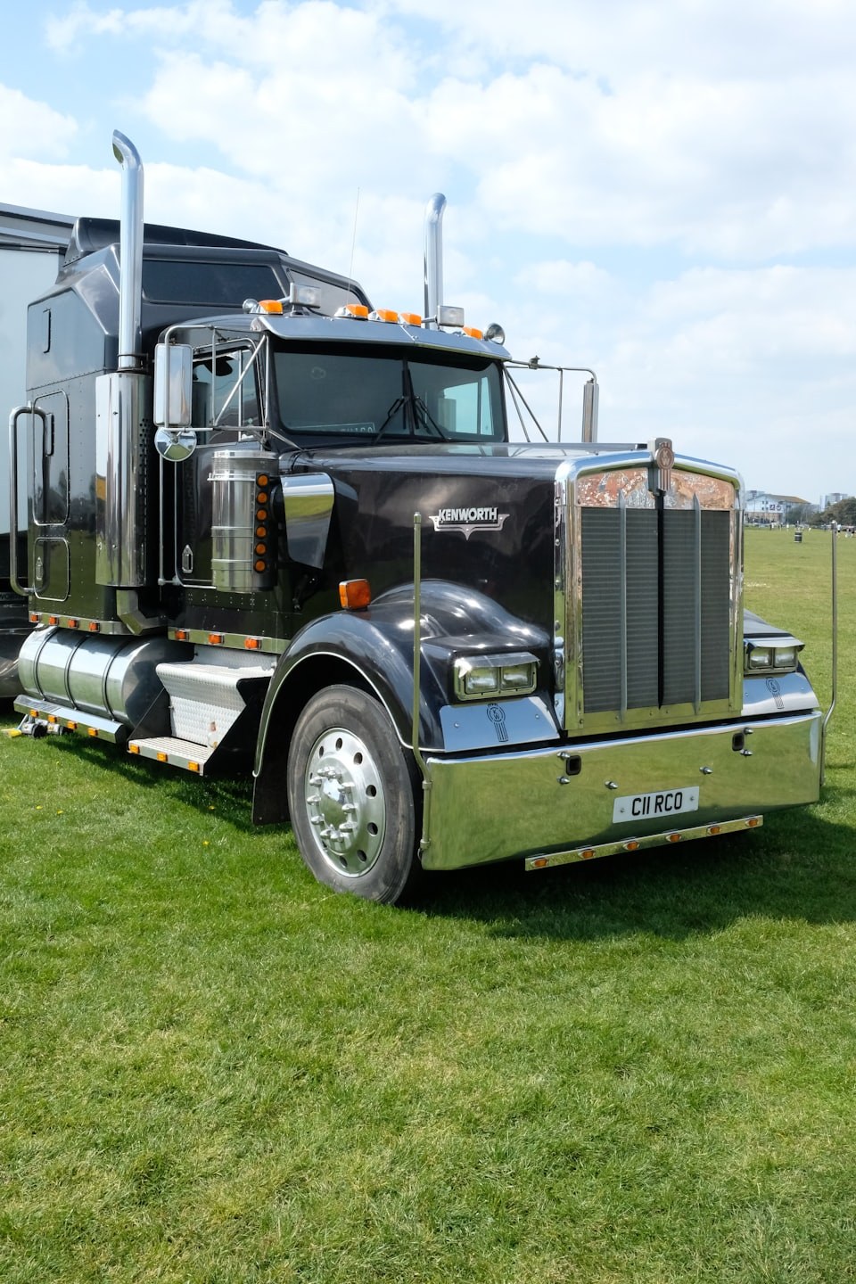 Black semi-truck parked on grass