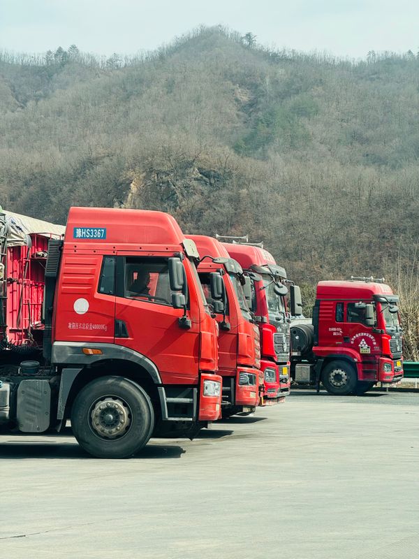 A row of trucks lined up and ready for the road